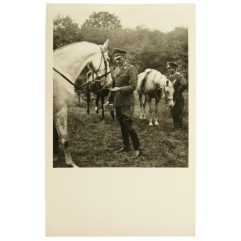Photo of General der Flieger. Rudolf Bogatsch.. Espenlaub militaria
